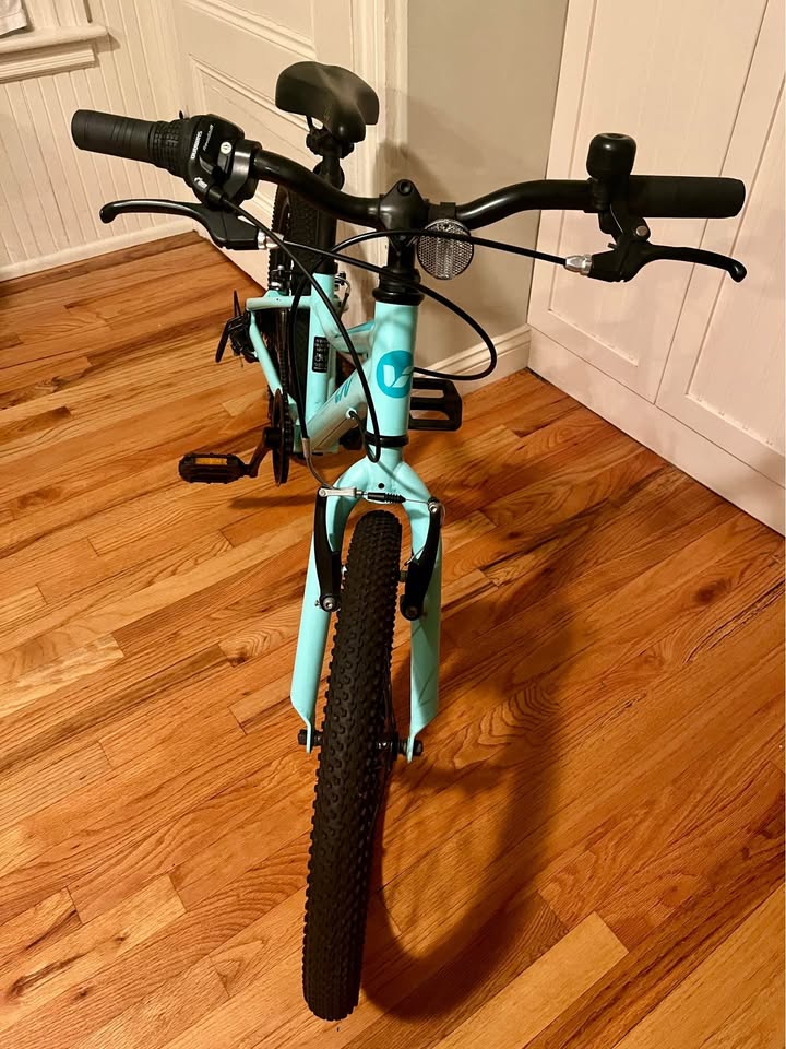 Giant Enchant 20 wheels kids mountain bike