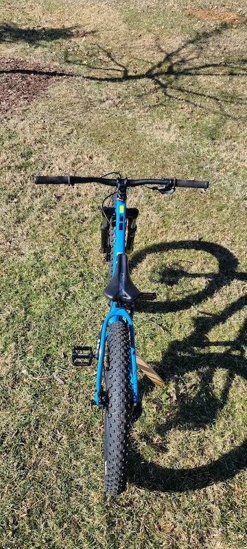 2020 Syncr 24 Mountain Bike